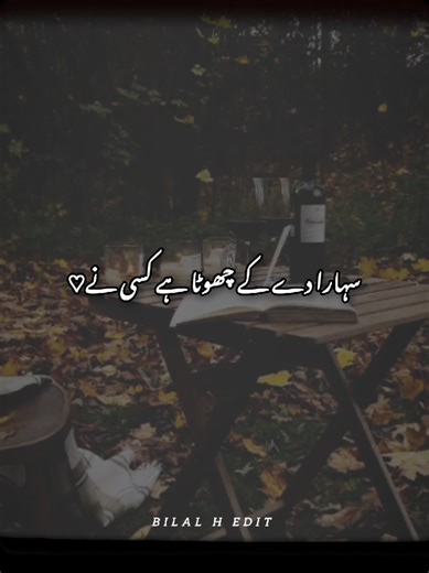 Dil e Umeed Part 2: Emotional Journey
