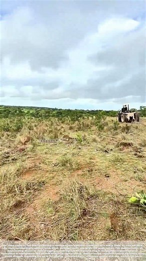 Root and Rupture: How a Simple Chain Transforms Unyielding Land