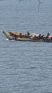 46K views · 1.4K reactions | I saw trouble from a distance | SL News Blog | Facebook