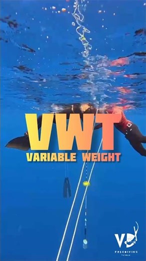 She disappeared into the depths of the ocean. Will she ever come back?