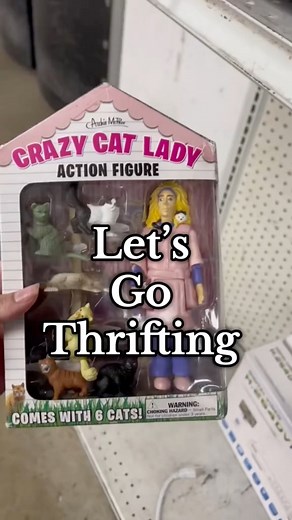 #thriftwithme #LetsGoThrifting #thrifted #secondhand #thriftshop #charityshop #thriftstorefinds | Thrift Chicc