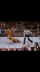 “Rugged” Ronnie Garvin vs Greg “The Hammer” Valentine! Submission match. WWF Royal Rumble 1990. | Turnbuckle Titans