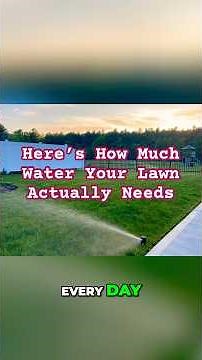 How Much Water Does My Lawn Need?
