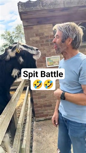 Animals vs Humans: Spit Battle🤣🤣