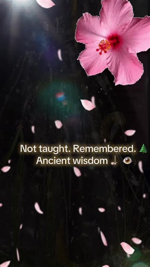 I asked why I felt called to bathe in pine needles and pour the water over my head — and this is what it revealed: 🌲 Why Pine Needles (Ancient Southern Indigenous Knowing) Across Southern Indigenous traditions, Appalachian folk medicine, and old forest-based rites, pine is known as: • The Breath of the Forest → clears lungs, spirit, and stagnant energy • Protector Tree → wards off illness, spiritual intrusion, and heavy thoughts • Evergreen Medicine → resilience, survival, endurance through win
