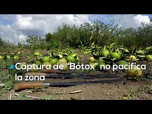 Tierra Caliente bajo asedio: seis cárteles disputan Michoacán