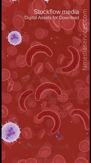 Hematology Montage | Hematology | Microscopic - Vertical Stock Footage