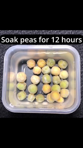 How to sprout peas fast #reels #gardening #vegetablegarden #springgardening | Keith Chapman