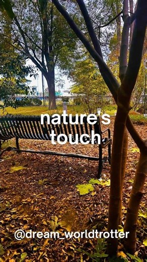 Nature Can Heal You More Than You Think