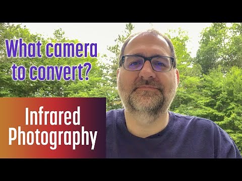 What camera should I convert to Infrared?