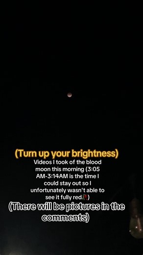 Stunning Blood Moon Eclipse Captured in Pictures