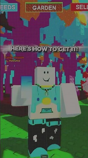 How to get Candy Blossom in Grow a Garden 🍬 (UPDATED METHOD)