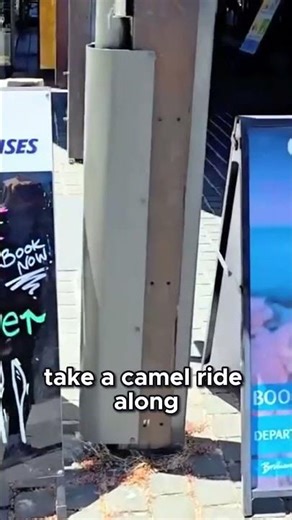 Broome’s Stunning Sunsets and Camel Rides . #australiavlog #westernaustralia #travel #shorts