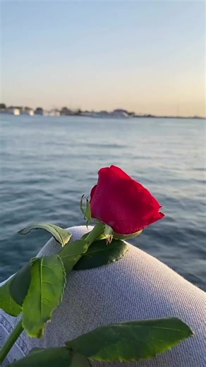 Videos de negra (@taniacabrera901) con “sonido original - Sergio Dueñas”