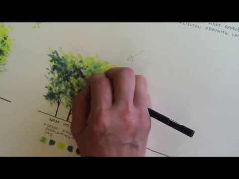 Rendering trees using colored pencil