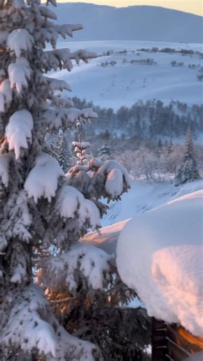 Ripmon on Instagram: "Vackra kalla januari 💫"