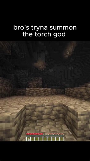 That enough torches? #minecraft #fyp