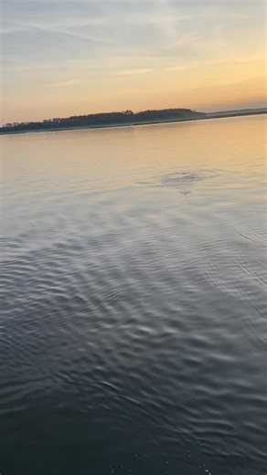 1K views | Rob Williams on Reels | Facebook