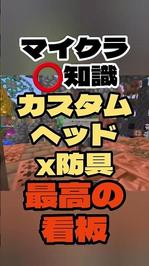 【マイクラ️⭕️知識】カスタムヘッドx防具 で 最高の看板出来た👍【Minecraft/minecraft/まいくら】