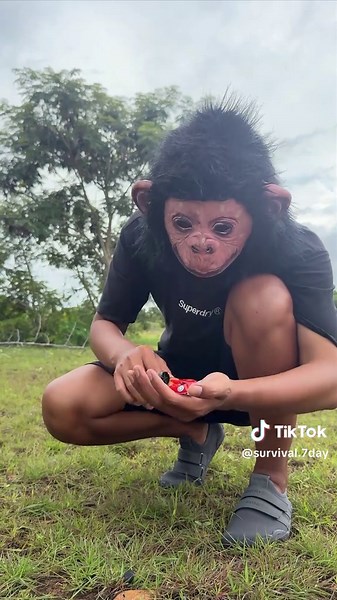 Essential Survival Skills for Forest Adventures