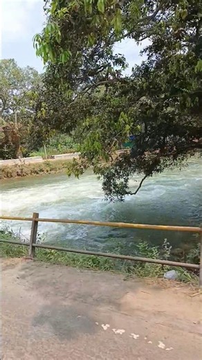 Jala jala patham lo kottukoni vellandi 😋 #satisfying #viralvideo ##foryou