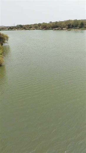 Vincent Pule (@vincent.pule0)’s videos with Nthuthuko Yakulelizwe - Abakwethu