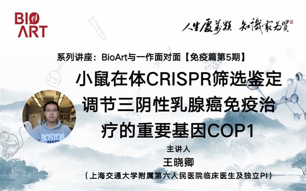 《小鼠在体CRISPR筛选鉴定调节三阴性乳腺癌免疫治疗的重要基因COP1》主讲人：王晓卿（上海交通大学附属六院医生、独立PI）#BioArt与一作面对面#免疫篇
