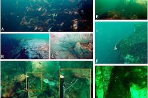 Massive blue hole discovered off coast of Mexico: Window into new lifeforms?