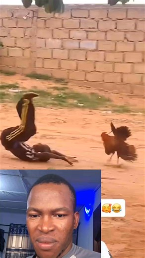 Attasa 🤣🤣🤣 | Modern NollyTv