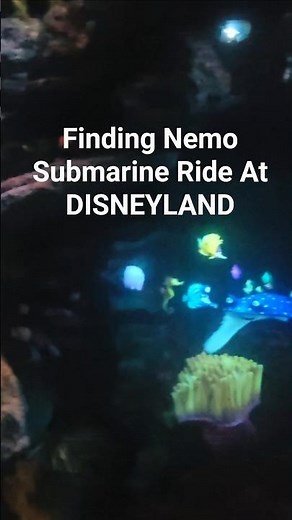 Finding Nemo Submarine Ride At DISNEYLAND