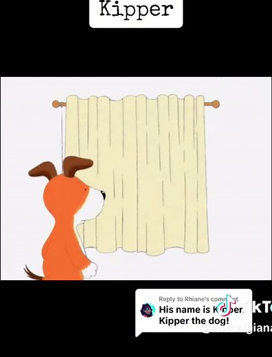 Meet Kipper: The Dog with a Cozy Heart