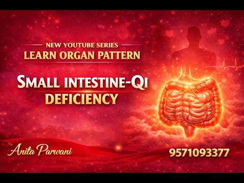 Small Intestine Qi Deficiency Explained | Symptoms, Diagnosis & Treatment | TCM Organ Pattern Series