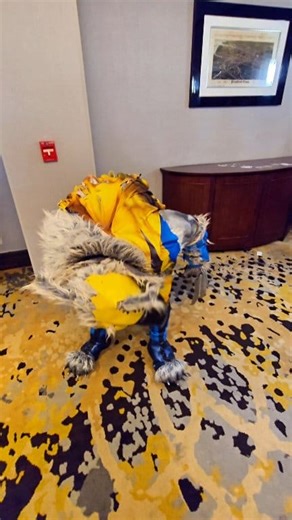 I tried to eat one of those tiny plastic ducks. It didn't go so well. CT HorrorFest #cthorrorfest2025 #cthorrorfest #cosplay #werewolf #wolverine #werewolfcosplay #wolverinecosplay #cosplayreels #cosplayvideo #marvelcosplay #Marvel Marvel Marvel Comics Marvel Studios | Haunted Cosplay