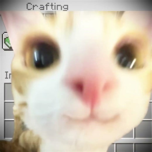 craft kat mincreaft wow #meow #minecraft