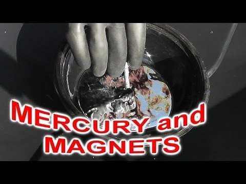 Is Mercury Hg attracted to MAGNETS?