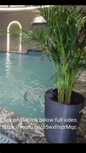 “Modern Pool Designs That Wow!” #indoorfountain #vlog #facts #indoorwaterfeature