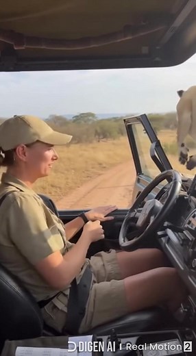 The moment a wild lioness chose to share her greatest treasure 🦁✨ Something extraordinary unfolded in the African bush today. A lioness, powerful and protective, made a decision that left everyone speechless – she carried her tiny cub directly to a female ranger and gently laid the baby at her feet. For years, this ranger has dedicated her life to protecting these magnificent cats. She's tracked them through droughts, monitored their health from afar, and fought tirelessly against poaching. But