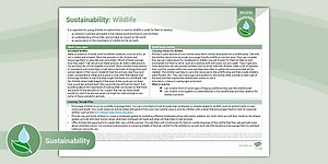 EYFS Sustainability Planning: Wildlife