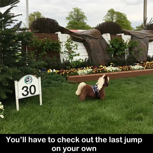 Crafty Ponies go to a Horse Show #equestrian #toy #educational #craftyponies #ridingschool