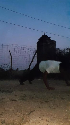 Mahesh Gurjar on Instagram: "Neeraj pepsu ke cheete h 🦅🦁💪💪 #trending #reels #neerajpepsu❤️👑 #gurjarcommunity #gujjar"