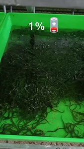 63 reactions · 10 comments | Bisnis Auto Gacor 2025 "Tertarik...