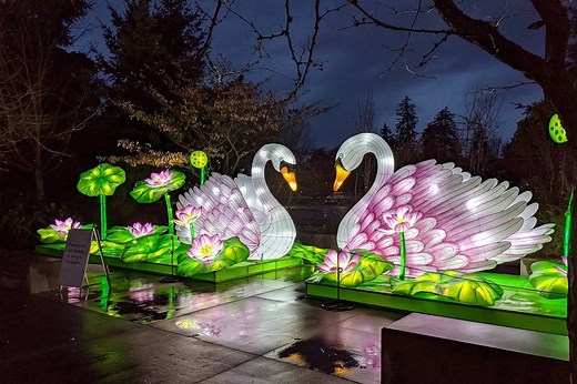WildLanterns Returns This Winter With New And Bigger Displays At Seattle’s Woodland Park Zoo