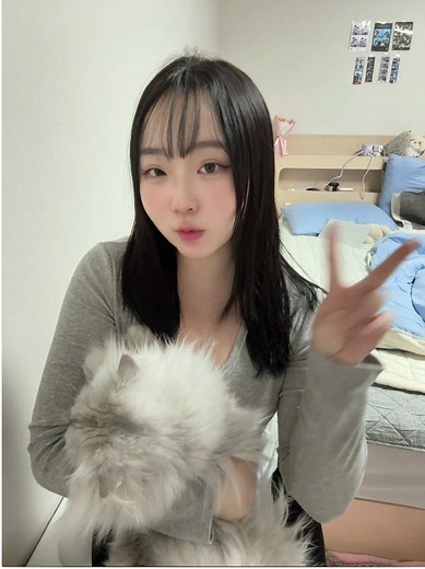 페르시안 친칠라의 매력과 키우기