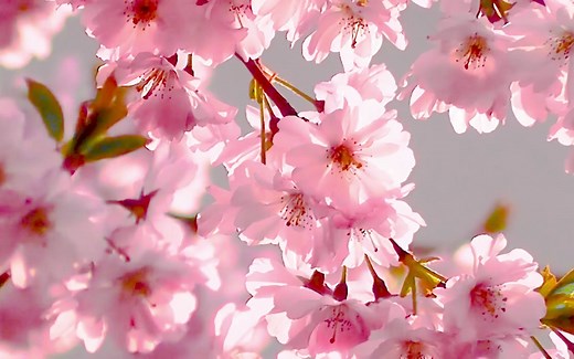 gmsh建模以及网格划分学习记录