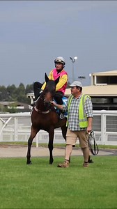 Oh Too Good is aiming for her fifth win on Saturday in the VOBIS Gold Bullion at Pakenham 🔥🙌 | Racing Victoria