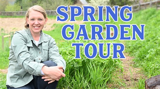 43K views · 1K reactions | With the rainy spring weather we've been having, we're already feeling behind on this year's garden. Come see how we're growing enough food for our LARGE family as I take you on a tour of our gardens! >> https://youtu.be/SBttvb7I51U | Homesteading Family | Facebook