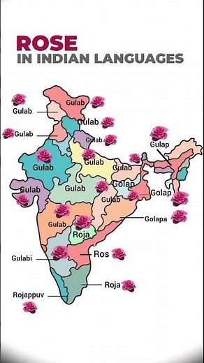 🌹 Rose in Different Languages of India | What is Rose Called in Different States?#shorts#shortsfeed