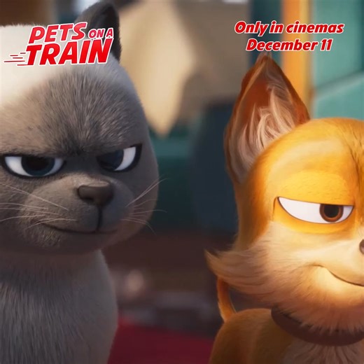 12K views · 72 reactions | Step aside Jack Black  The rap queen Anna Anaconda stars in PETS ON A TRAIN. When a train unexpectedly starts up, taking only pets with it, it’s up to the pets to save the day and hit the brakes before it's too late. Coming to Australian and New Zealand cinemas this December. | Umbrella Entertainment | Facebook