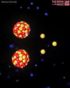 38K views · 461 reactions | How does an atomic bomb work? - In this video, we break down the terrifying science behind how an atomic bomb works. From the moment of detonation to the chain reaction of nuclear fission, you’ll learn how a small amount of matter can unleash a force capable of leveling entire cities. | The Brain Maze | Facebook