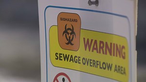 Local nonprofit helping students with disabilities enjoy prom